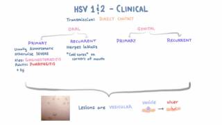 Benefits of PapHPV Together [upl. by Neltiak]