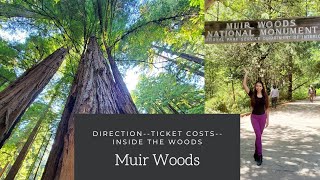 🌳 Muir Woods Directions Costs and Inside the woods ❤ [upl. by Eiznek]