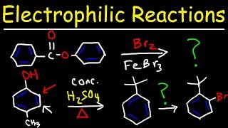 Electrophilic Aromatic Substitution Reactions Made Easy [upl. by Olav]