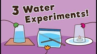 3 Easy Water Experiments for Kids [upl. by Castera]