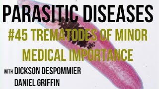 Parasitic Diseases Lectures 45 Trematodes of Minor Medical Importance [upl. by Jorgensen499]