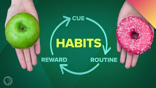 How Habits Can Change Your Life and Your Brain [upl. by Gittle]