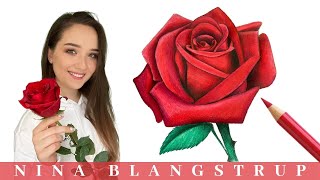 How to Draw a Realistic Rose  Step by Step Tutorial for Beginners [upl. by Sanchez]