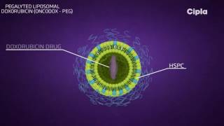 Liposomal technology [upl. by Asusej]