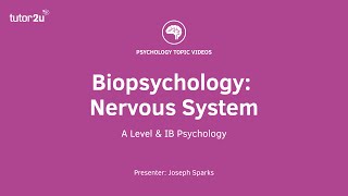 Biopsychology Nervous System Explained [upl. by Gordon]