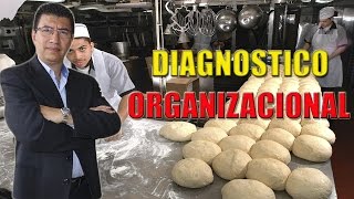 DIAGNOSTICO ORGANIZACIONAL [upl. by Akiehs]