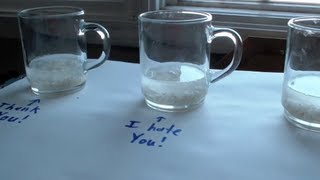 Important Knowledge  Rice Water Experiment  Dr Emoto Research [upl. by Anirahs]