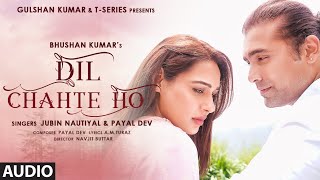 Dil Chahte Ho AUDIO Jubin Nautiyal Mandy Takhar  Payal Dev AM Turaz Navjit B  Bhushan Kumar [upl. by Irab]