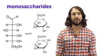 Carbohydrates Part 1 Simple Sugars and Fischer Projections [upl. by Layman]