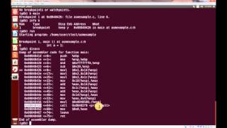 GDB Debugging  Displaying x86 Assembly from C program and stepping through instructions [upl. by Gipps]