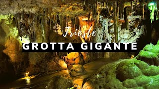 🔴Trieste Grotta Gigante  The World’s Largest Tourist Cave [upl. by Zebulon449]