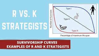 R STRATEGISTS VS K STRATEGISTS [upl. by Eerok657]