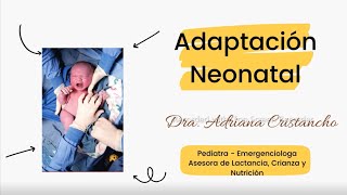 ADAPTACIÓN NEONATAL  DRA ADRIANA CRISTANCHO [upl. by Noma]