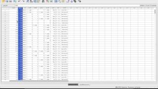 Clusteranalyse in SPSS 14 [upl. by Meekyh]