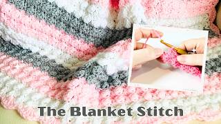 How to Crochet the Blanket Stitch EASY Crochet Tutorial [upl. by Yeung]