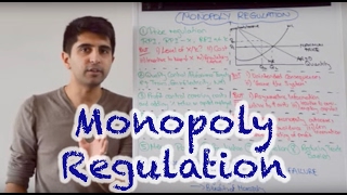 Y2 28 Competition Policy  Monopoly Regulation [upl. by Peedus670]