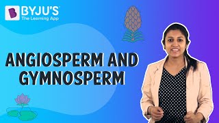 Difference Between Angiosperms And Gymnosperms [upl. by Timofei]