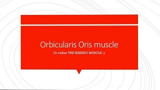 Orbicularis Oris  Simple and Easy [upl. by Aicittel651]