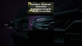 Halo Infinite NEW Weapon  MA5K Carbine [upl. by Ainel]