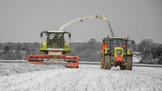 Travaux agricoles de lannée 2019 [upl. by Gayel]