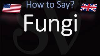 How to Pronounce Fungi [upl. by Malorie]