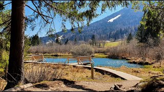 Natural reserve Zelenci Kranjska Gora Slovenia [upl. by Nothsa424]