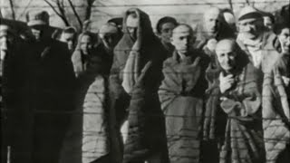 Inside Auschwitz Holocausts horrific impact [upl. by Amadis]