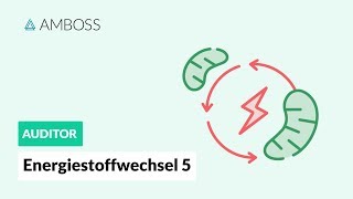 Energiestoffwechsel Teil 5 mit Molekülstrukturen  BetaOxidation  AMBOSS Auditor [upl. by Auhsohey931]