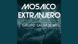 Mosaico Extranjero [upl. by Elehcir]