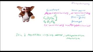 Biochemistry Lecture 19 Carbohydrates Part 1 [upl. by Ritz]