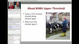 Diagnosing and Monitoring Ketosis in Dairy Herds [upl. by Ahsiem]