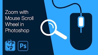 Zoom with Mouse Scroll Wheel in Photoshop [upl. by Aicertal]