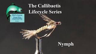 Callibaetis Lifecycle Series Tying the Nymph [upl. by Nnylatsyrk]