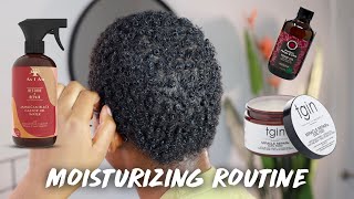 DAILY Moisturizing amp Growth Routine for SHORT Natural Hair [upl. by Nerradal499]