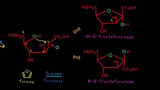 Cyclisation des monosaccharides sucres [upl. by Innob]