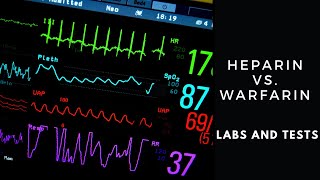 All About Warfarin  Mechanism of Action [upl. by Ellesig]