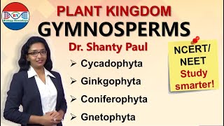 Gymnosperms  Plant kingdom [upl. by Aytak]