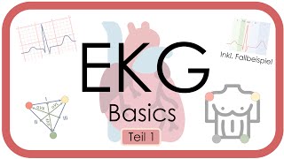 EKG Basics  Step by Step  Grundlagen Einthoven Frequenz Lagetyp PWelle QRS EKGKurs [upl. by Gray]