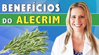 Benefícios do Alecrim  Para Que Serve Emagrece Como Usar DICAS [upl. by Nnaeirrac]